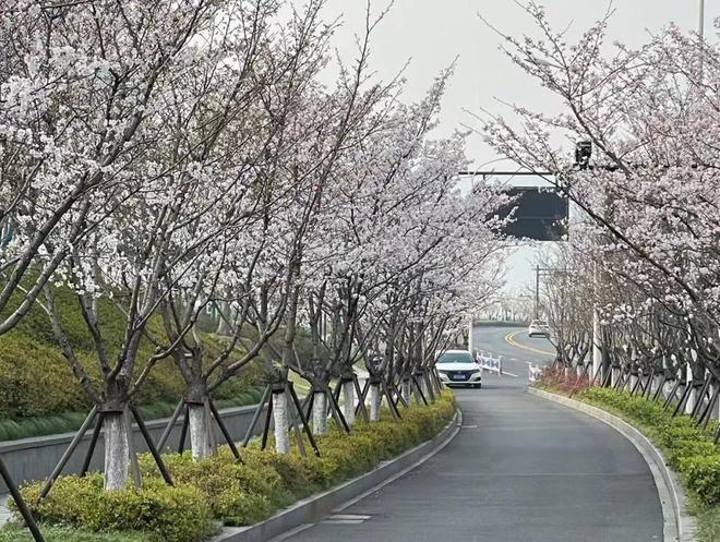 运动的季节又来了！之江喜欢骑行、夜跑的小伙伴看过来(图1)